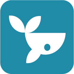 adobe xd wireframe example